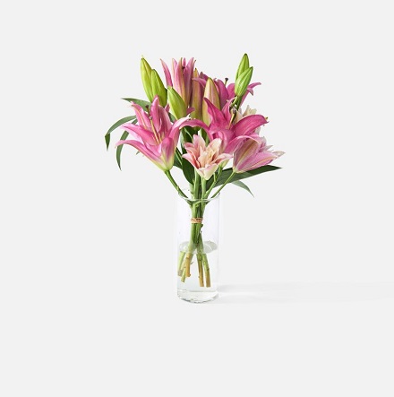 UrbanStems: Valentine’s Day Collection From $45