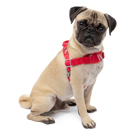 Kurgo: Free Ground Shipping on orders over $69 + Up to 35% OFF OUTLET Shop Walk About Harness