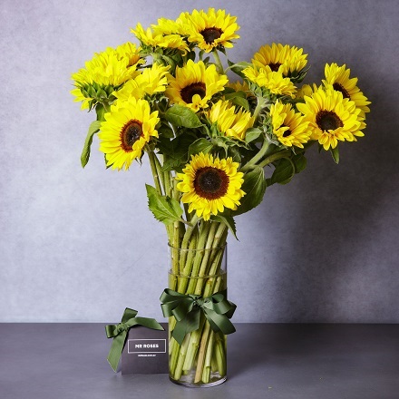 Mr Roses APAC: FATHER'S DAY -SHOP flowers for dad