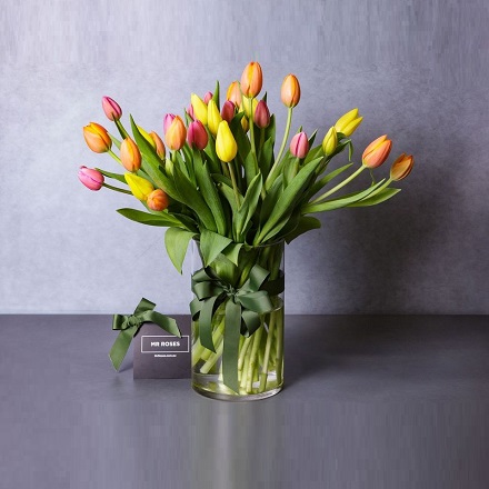 Mr Roses APAC: Weekly Deals - $89 for TERRIFIC TULIPS