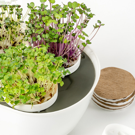 Gardyn: Microgreens Complete Kit - Free Shipping within 48 Hours