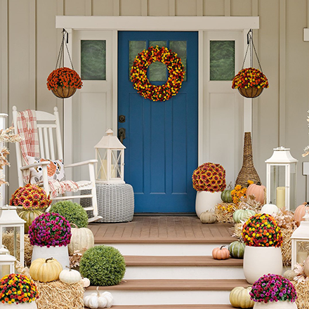 QVC: One-Day Price! Shop Wicker Park Indoor/Outdoor Harvest Faux Floral Collection