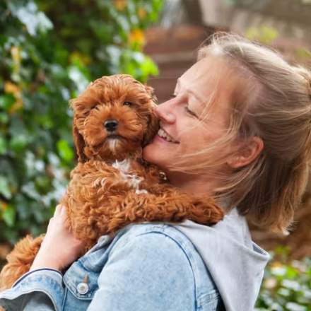 Tails.com UK: Nutrition Designed Just for Puppies - 50% OFF