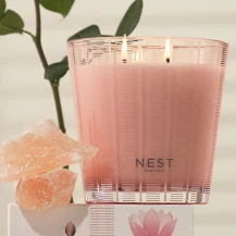 NEST New York: Enjoy 20% OFF Your Order