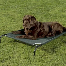 Chewy: Spend $49, Get a $20 e-gift Card OFF Your First Chewy Purchase